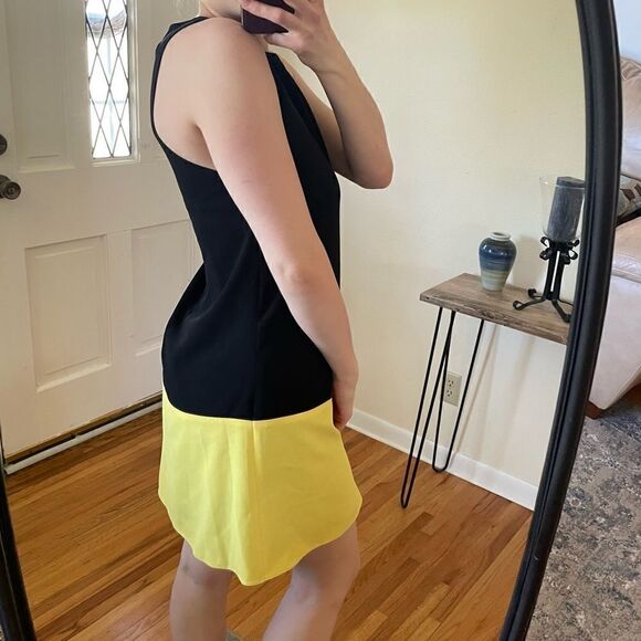 Alice + Olivia Dorma Color Block Sleeveless Shift Dress - Picture 3 of 7